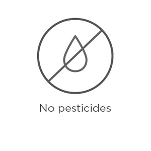 No Pesticides