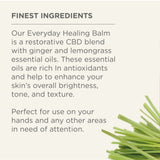 everyday healing balm with antioxidants